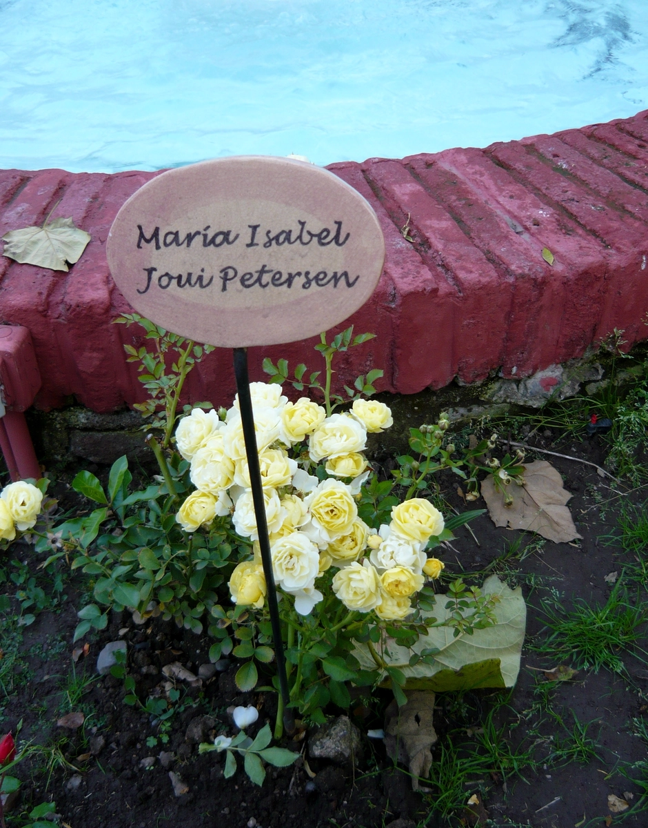 villagrimaldi.cl Homenaje a la Mujer