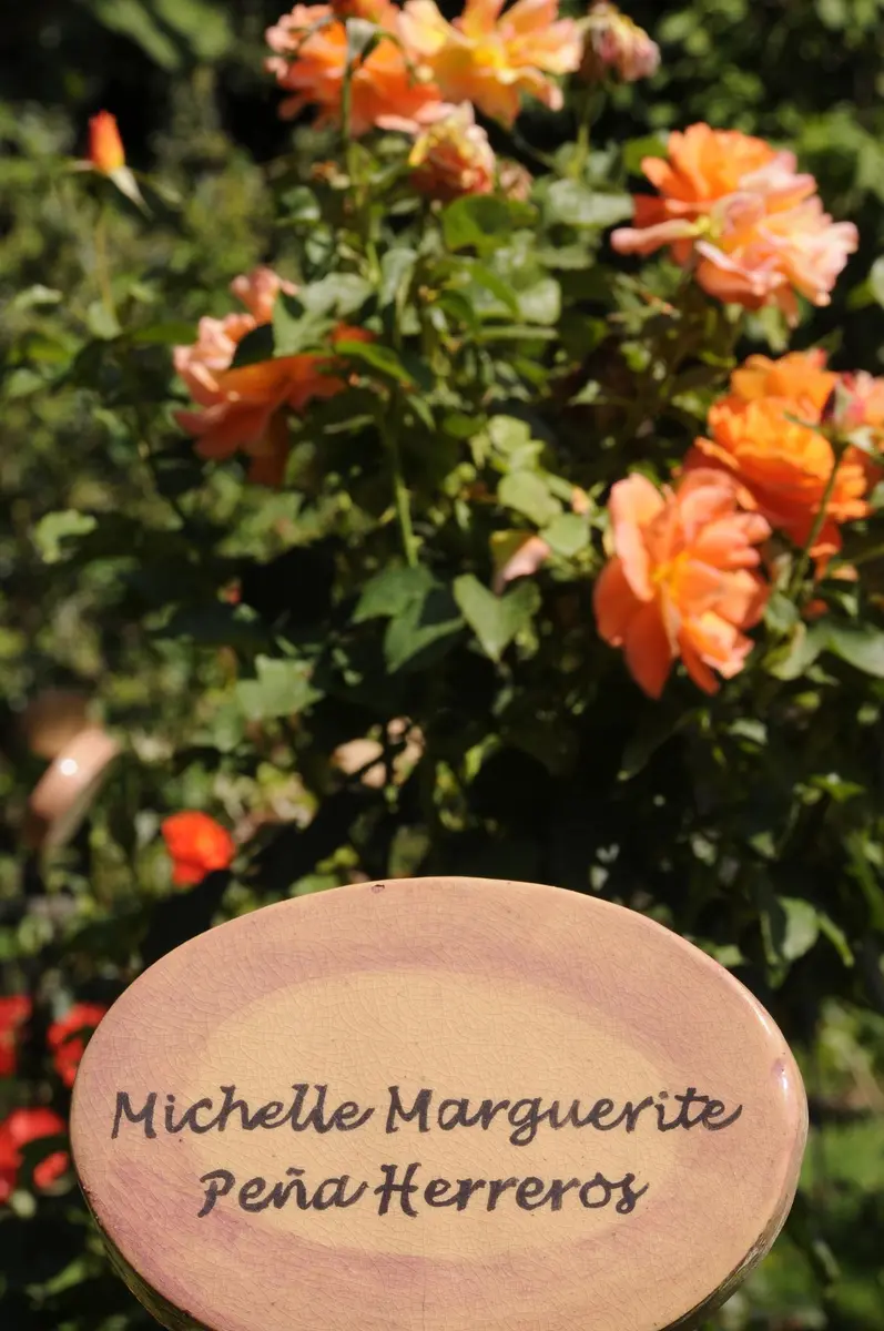villagrimaldi.cl  Homenaje a la Mujer