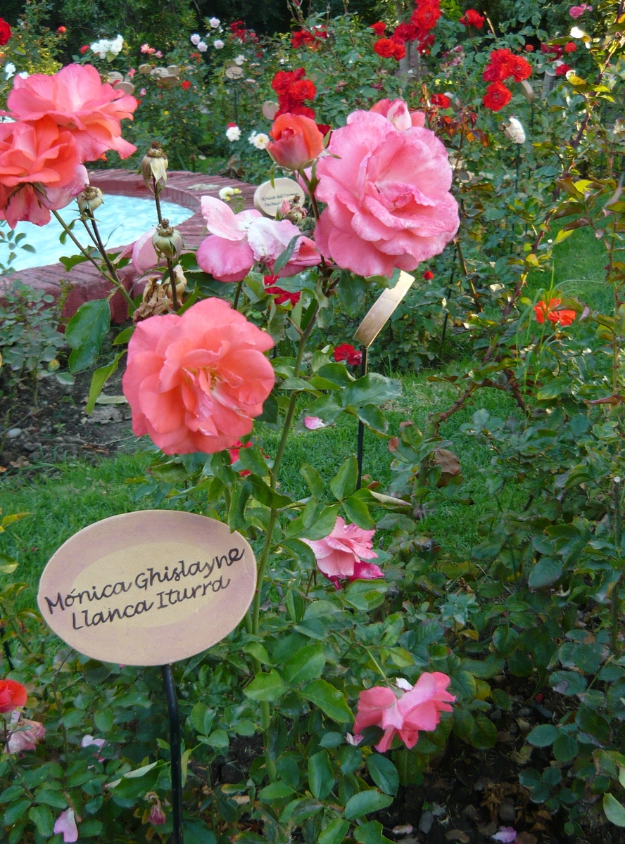 villagrimaldi.cl  Homenaje a la Mujer