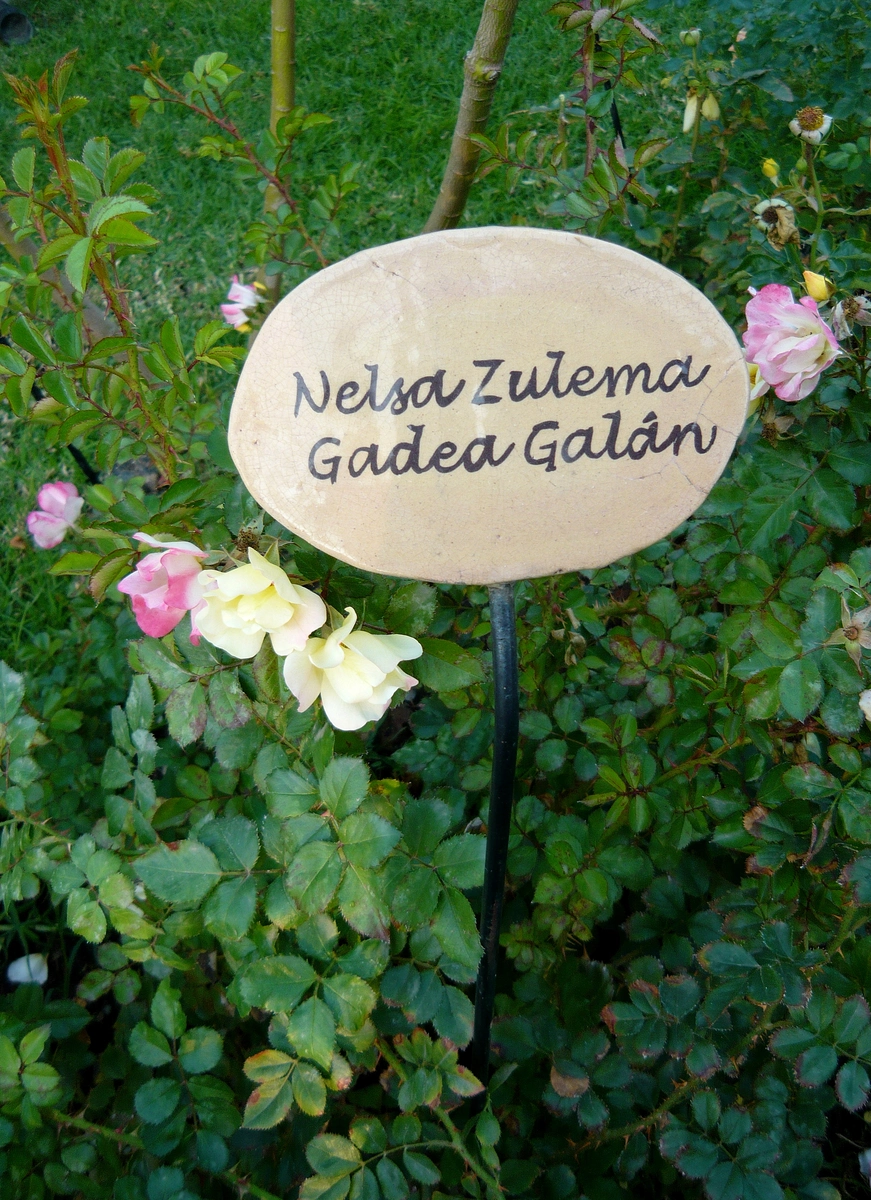 villagrimaldi.cl Homenaje a la Mujer