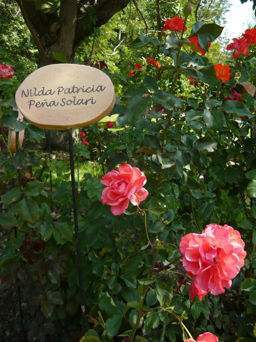 villagrimaldi.cl  Homenaje a la Mujer