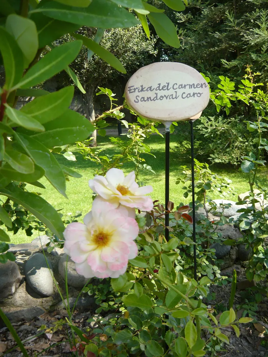 villagrimaldi.cl  Homenaje a la Mujer
