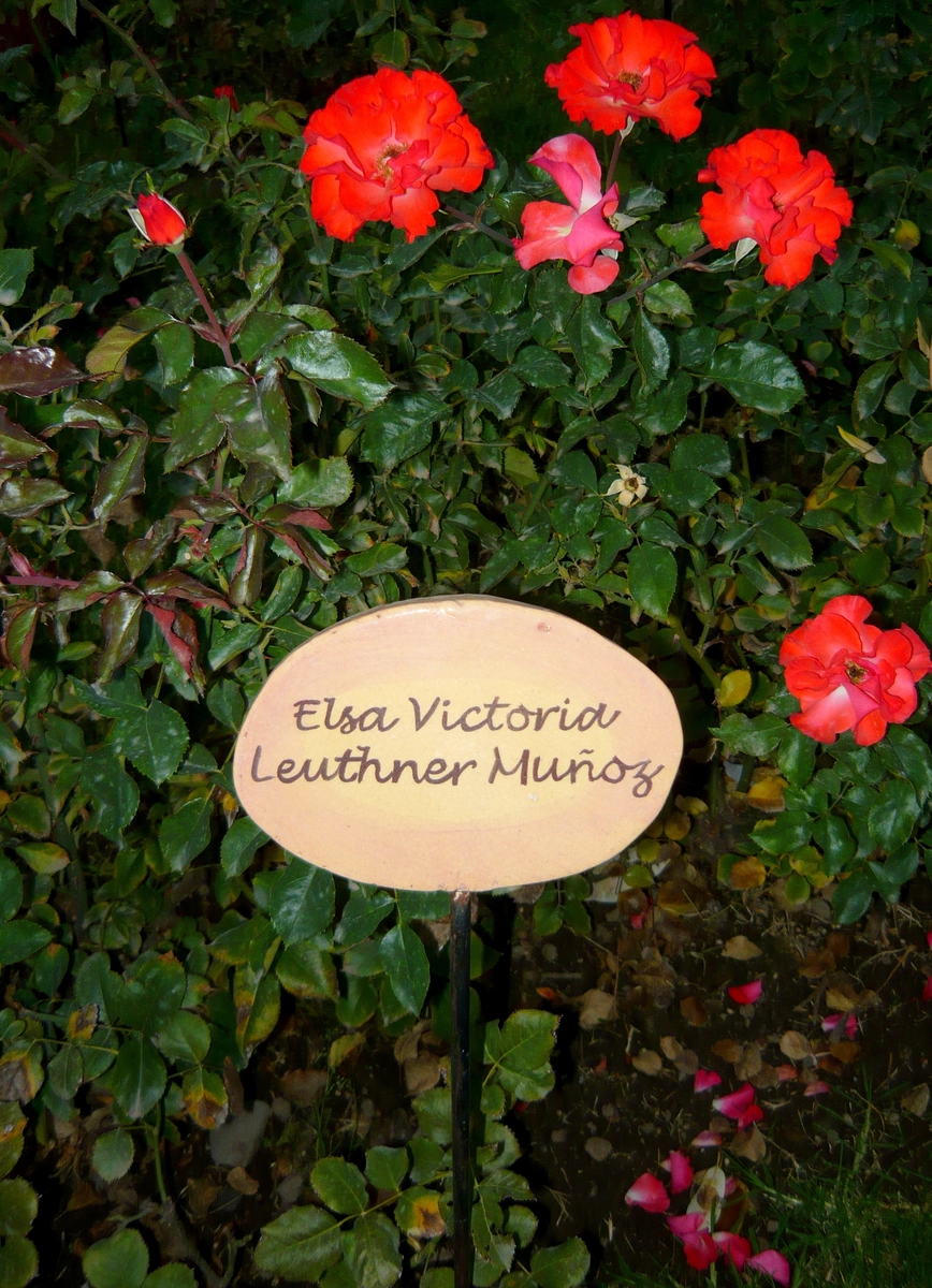 villagrimaldi.cl Homenaje a la Mujer