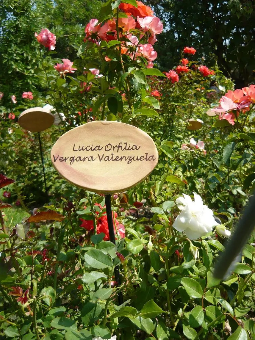villagrimaldi.cl Homenaje a la Mujer