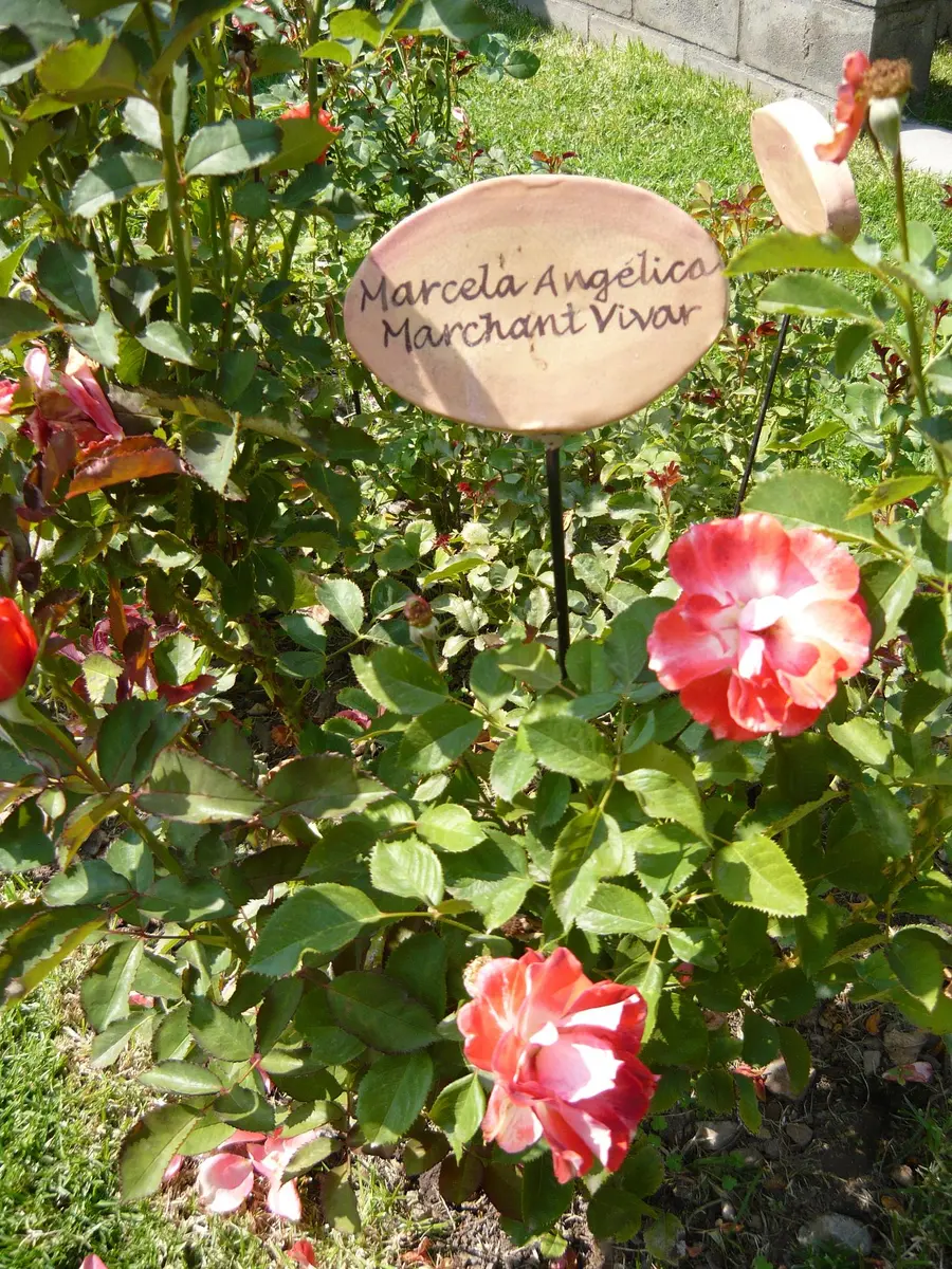 villagrimaldi.cl Homenaje a la Mujer