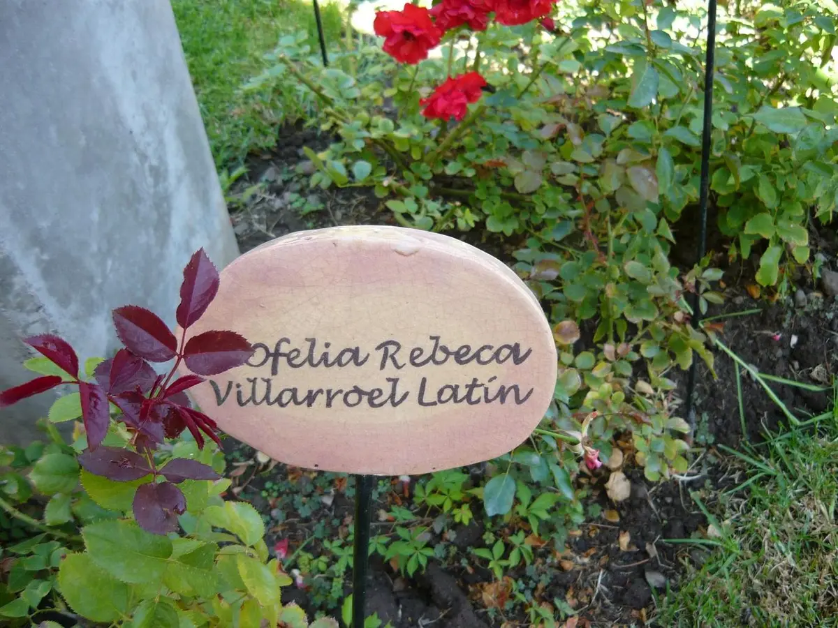 villagrimaldi.cl Homenaje a la Mujer