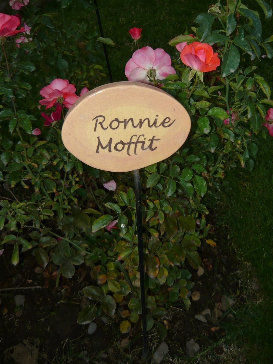 villagrimaldi.cl Homenaje a la Mujer