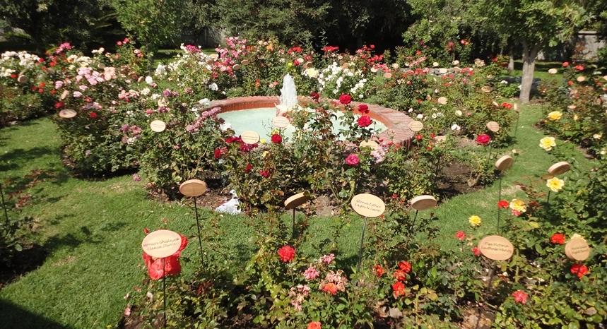 villagrimaldi.cl Homenaje a la Mujer