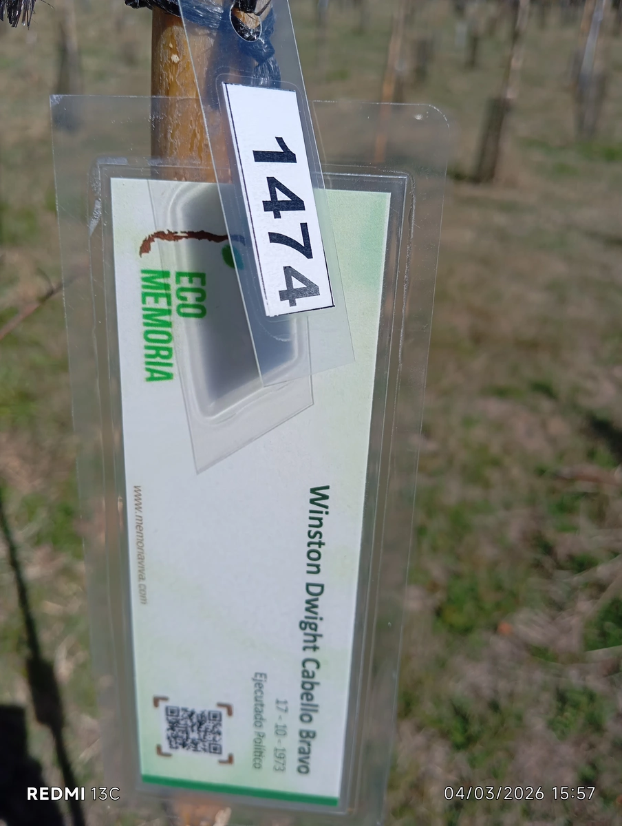 ecomemoria.cl  - Raulí