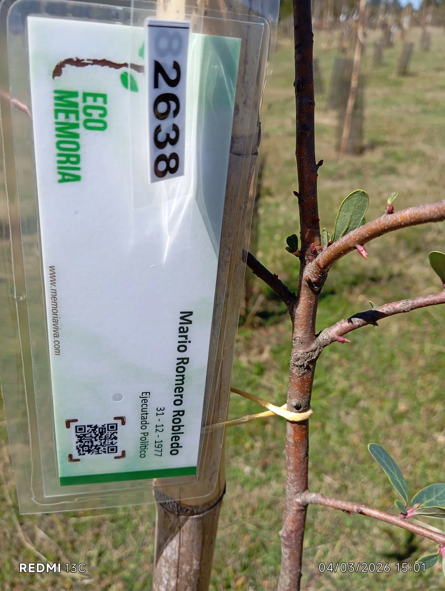 ecomemoria.cl  - Notro