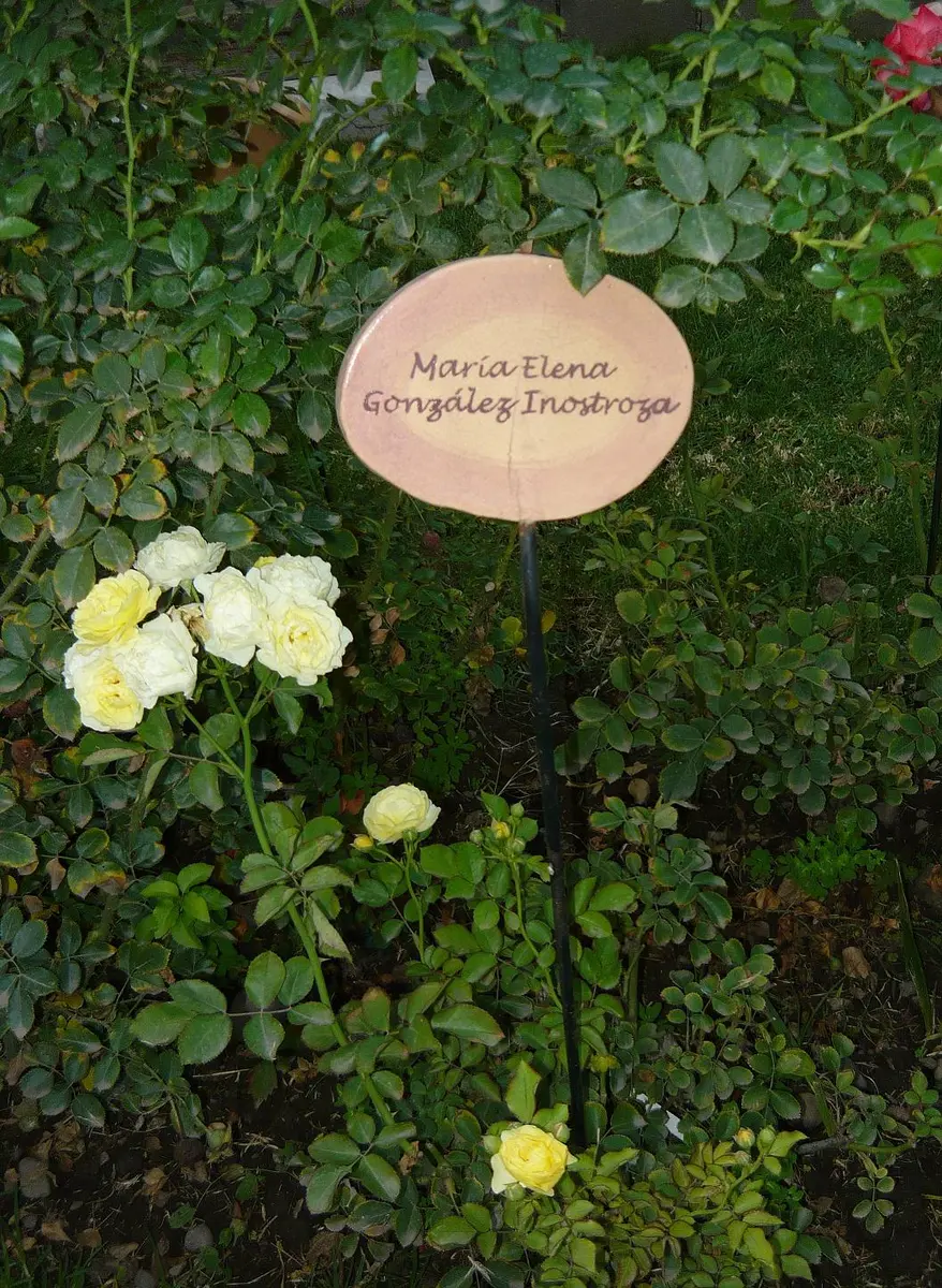 villagrimaldi.cl Homenaje a la Mujer