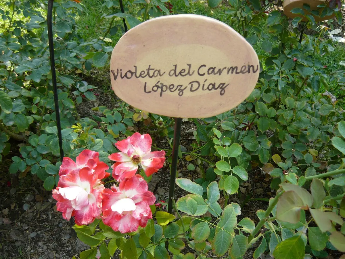 villagrimaldi.cl   Homenaje a la Mujer