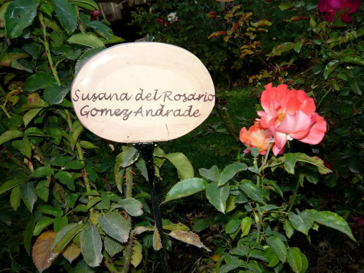 villagrimaldi.cl   Homenaje a la Mujer