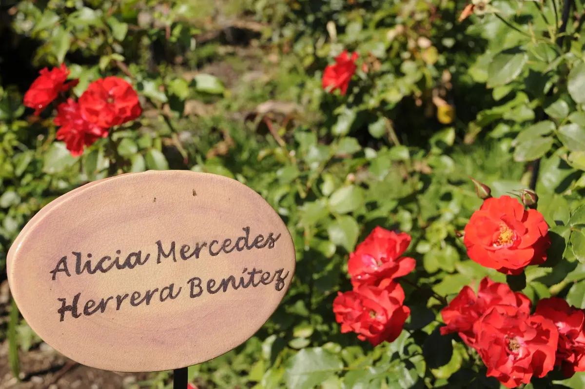 villagrimaldi.cl    Homenaje a la Mujer