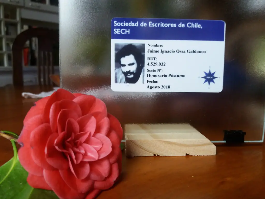 sech.cl