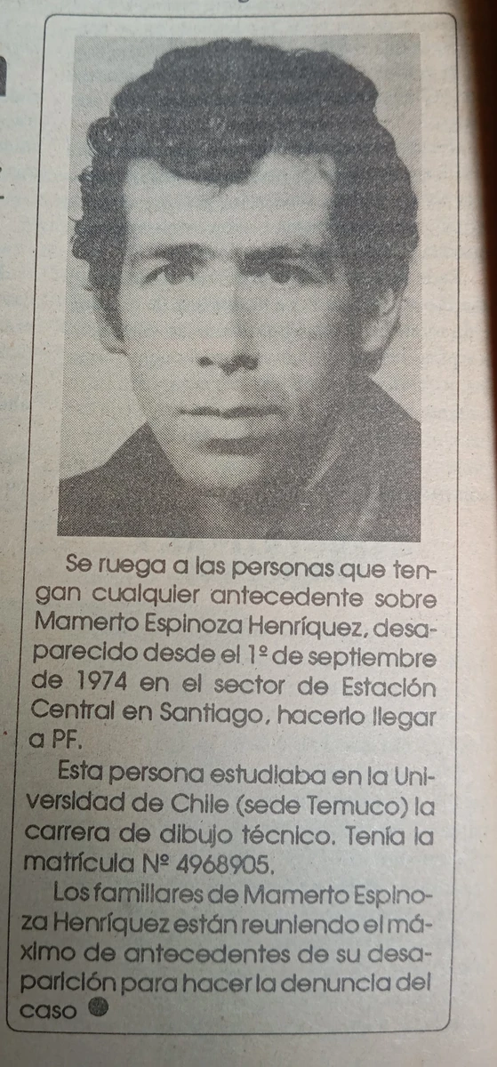 Articulo Diario
